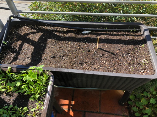 Empty balcony planter box with soil and irrigation tube