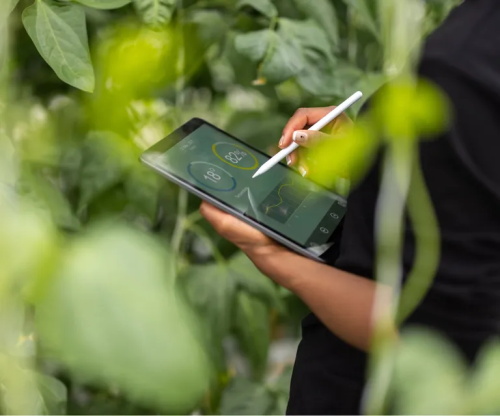 Person using a stylus on a tablet to monitor plant data in a greenhouse