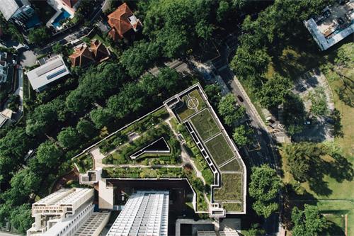Aerial view of a green rooftop garden