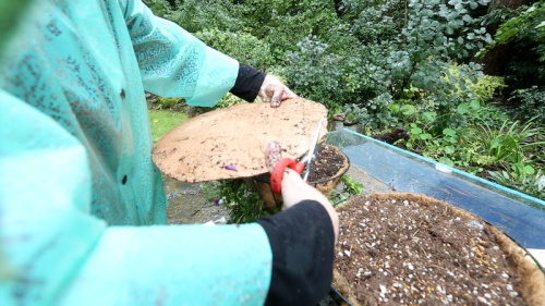 Person cutting a liner for a planter with scissors during a gardening task