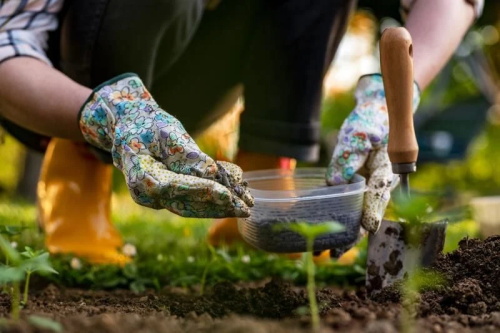 Person gardening with colorful gloves, handling soil and seedlings