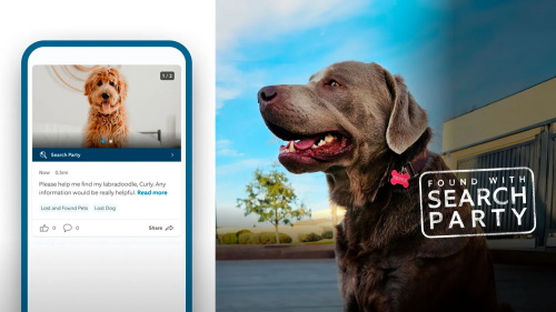 App screenshot of a lost dog post next to a photo of a found dog, labeled Found with Search Party