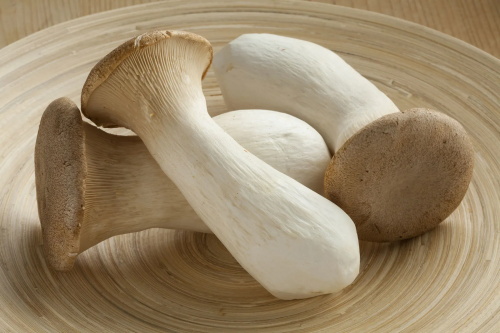 Pleurotus eryngii